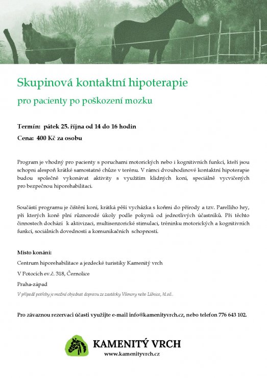 Skupinová kontaktní hipoterapie