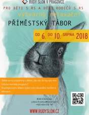 Příměstský výtvarný tábor pro děti s RS